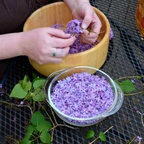 Folk remedies voor de behandeling van pijn in de gewrichten van de vingers